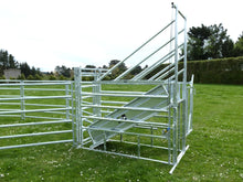 Load image into Gallery viewer, Multihandler Crush