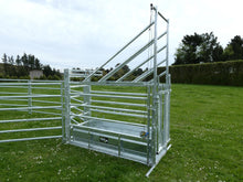 Load image into Gallery viewer, Multihandler Crush