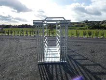 Load image into Gallery viewer, Cadet Cattle Crush