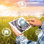 Technology on the Farm: How Innovation is Shaping Modern Agriculture