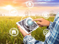 Technology on the Farm: How Innovation is Shaping Modern Agriculture