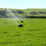 5 Types of Irrigation