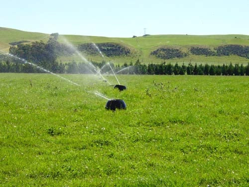 5 Types of Irrigation