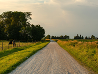 Why Insurance Is Essential for Farmers