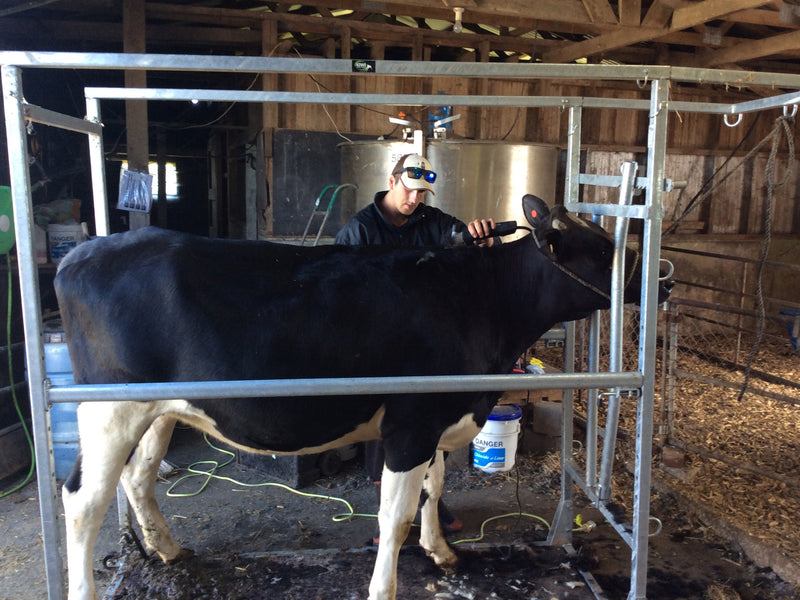 Grooming Chute