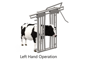 Boss Headbail
