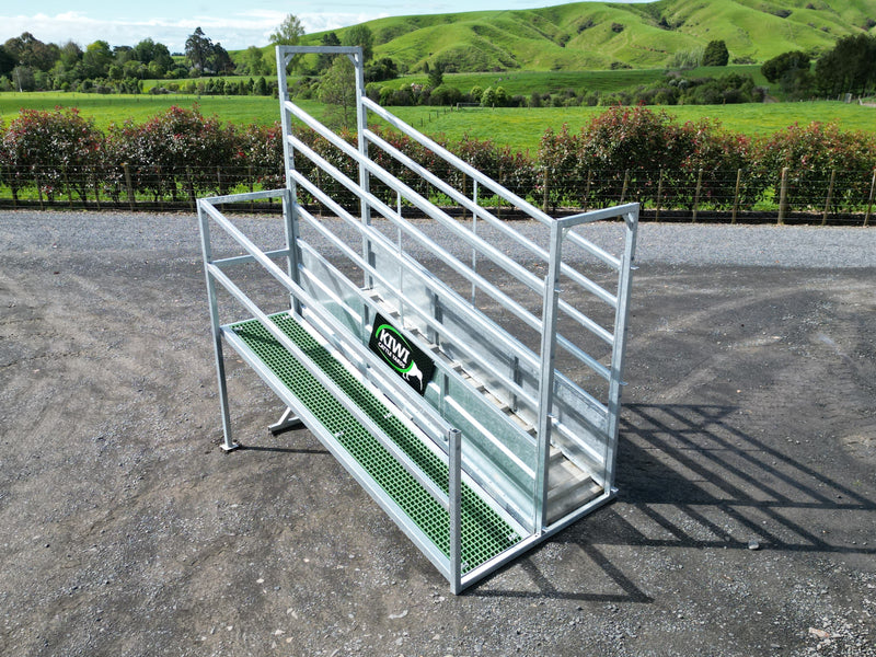 Heavy Duty Loading Ramp