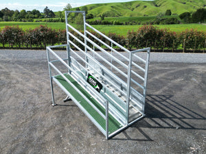 Heavy Duty Loading Ramp