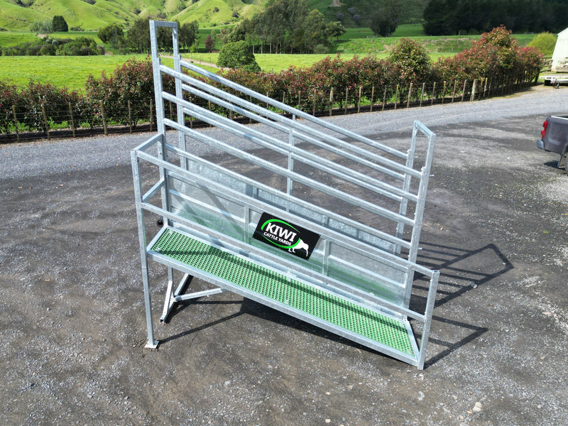 Bison Ranch Loading Ramp Heavy Duty Loading Ramp — Kiwi cattle yards