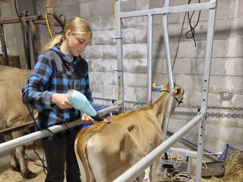Grooming Chute