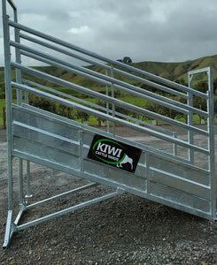 Heavy Duty Loading Ramp