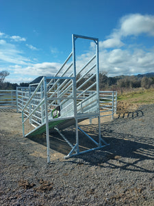 Heavy Duty Loading Ramp