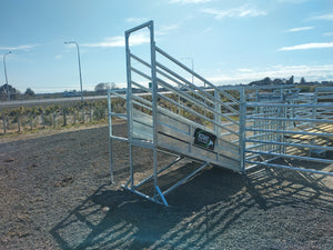 Heavy Duty Loading Ramp