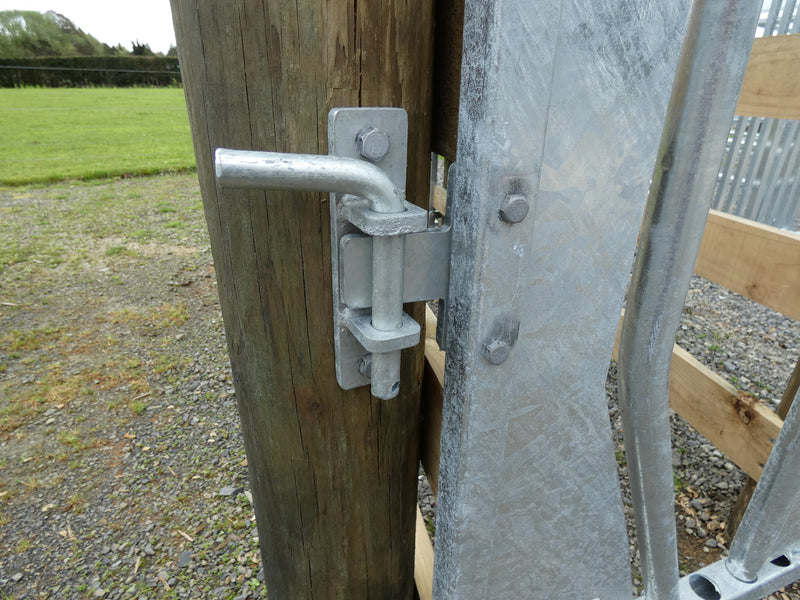 Standard Headbail
