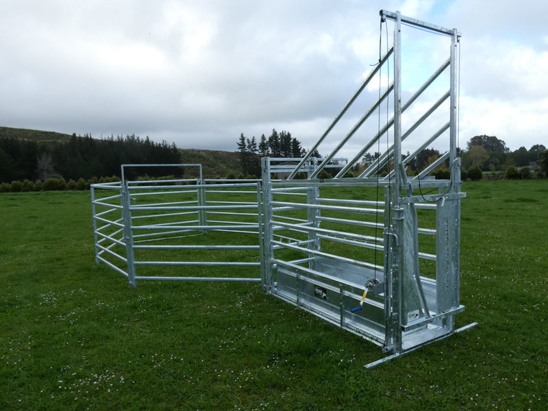 LSP-10 Lifestyle Cattle Yard Package