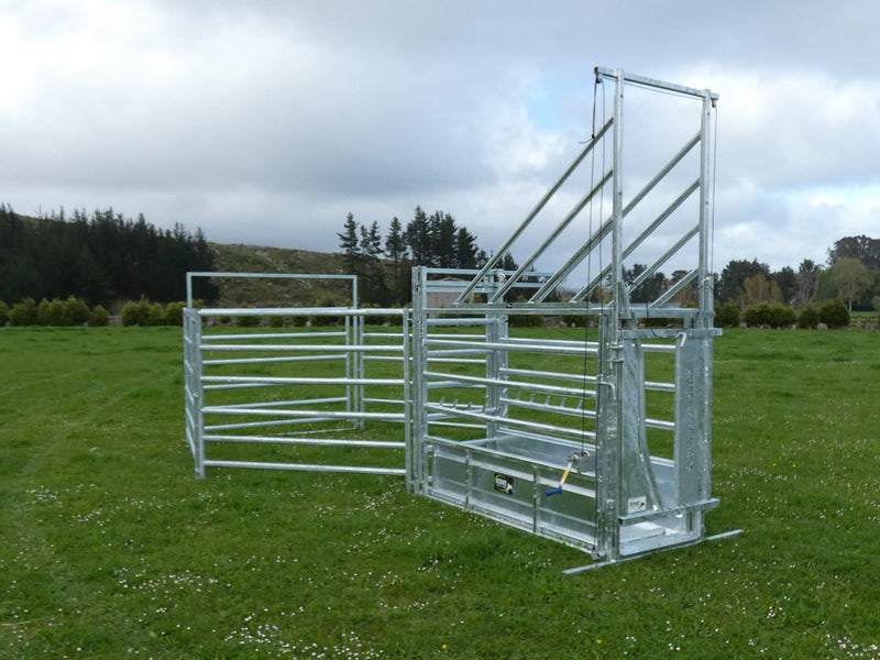 LSP-5 Lifestyle Cattle Yard Package