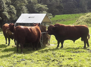 Bale Feeder Roof Only