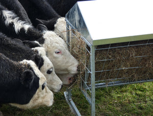 Little Bale Feeder