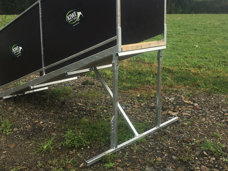 Calf Loading Ramp