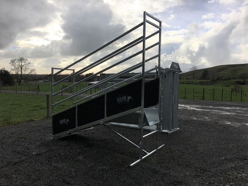Adjustable Loading Ramp