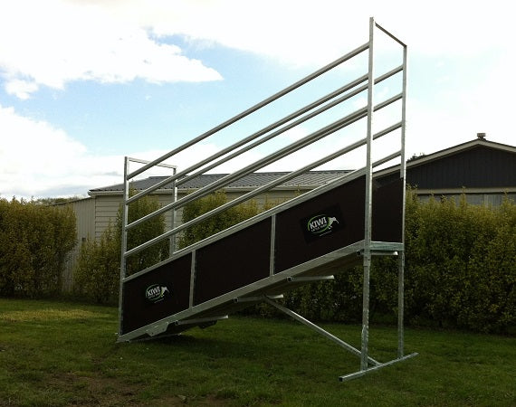 Lifestyle Series Loading Ramp